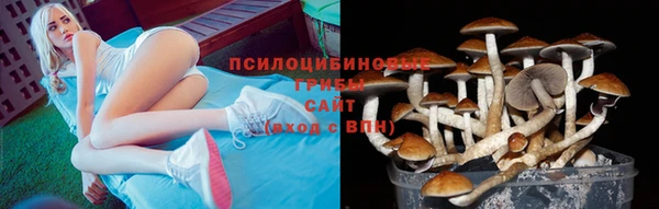гашишное масло Дмитровск