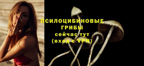 синтетический гашиш Дмитров